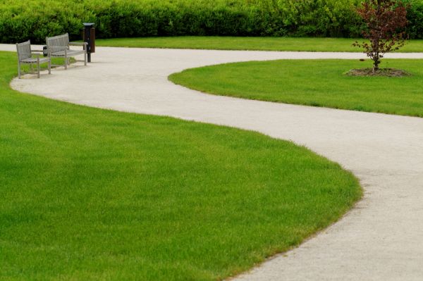 Sidewalk Concrete Service in Millsboro