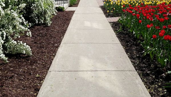 Cement Sidewalk Installation in Millsboro