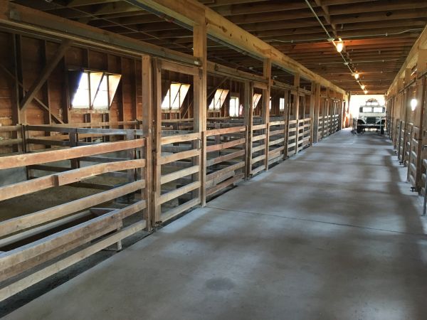 Barn Floor Pouring in Millsboro