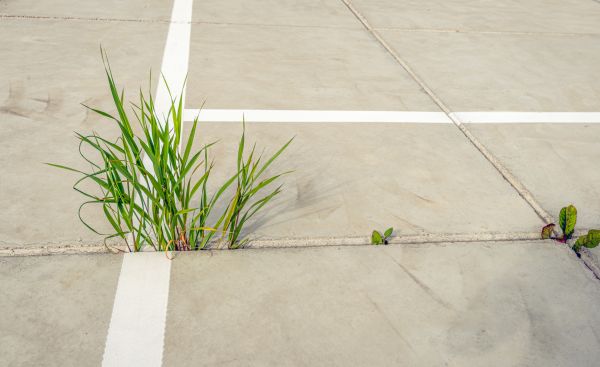 Concrete Parking Installation in Millsboro