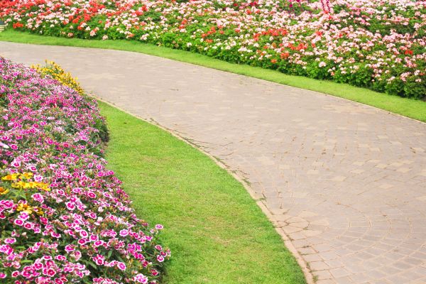 Concrete Walkway Service in Millsboro